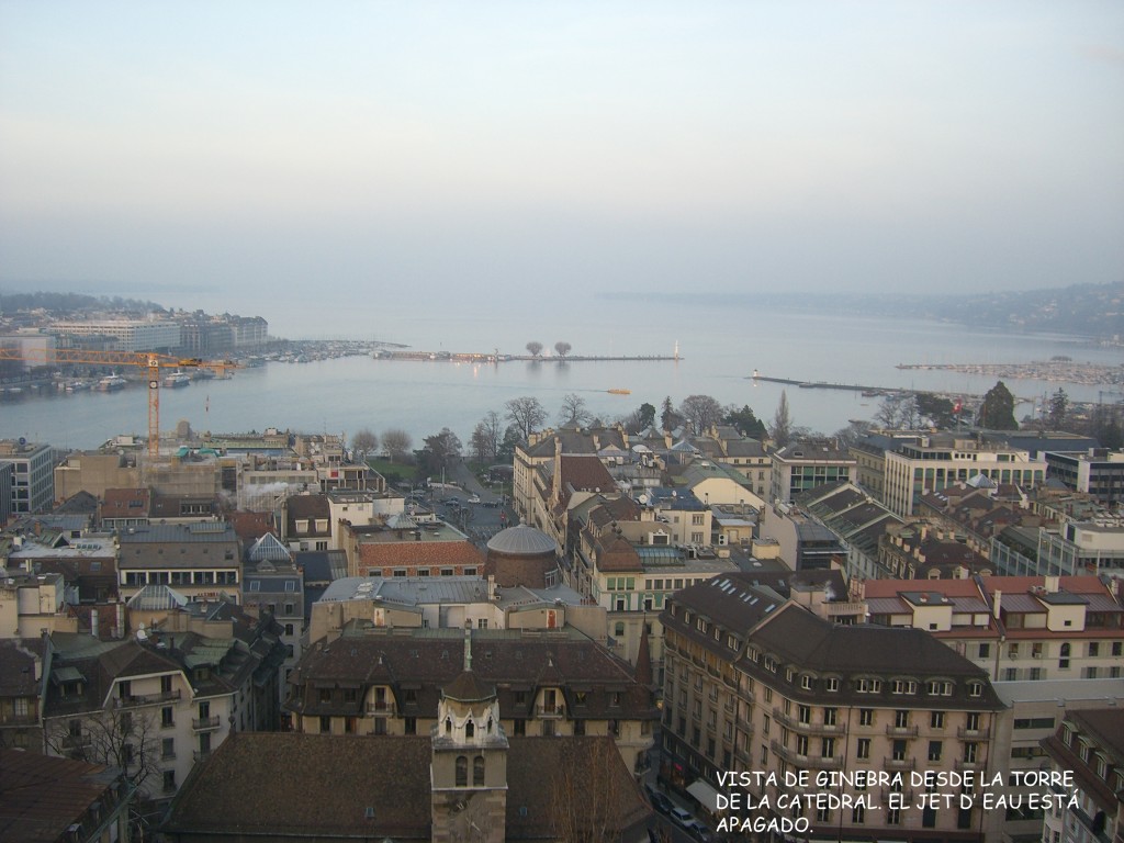 cimg2395-copia1 cimg2395-copia1