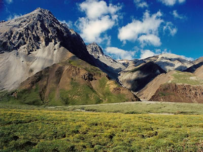 paisaje Alaska paisaje Alaska