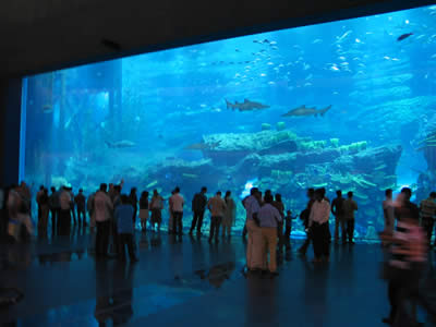 que ver dubai