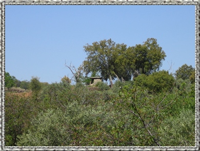 entorno-de-la-casa-rural