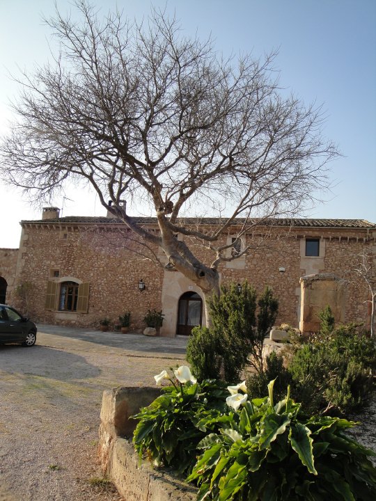 Casa rural Son Lladó