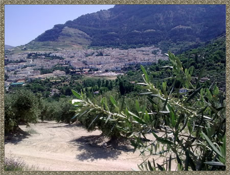 Cazorla Cazorla
