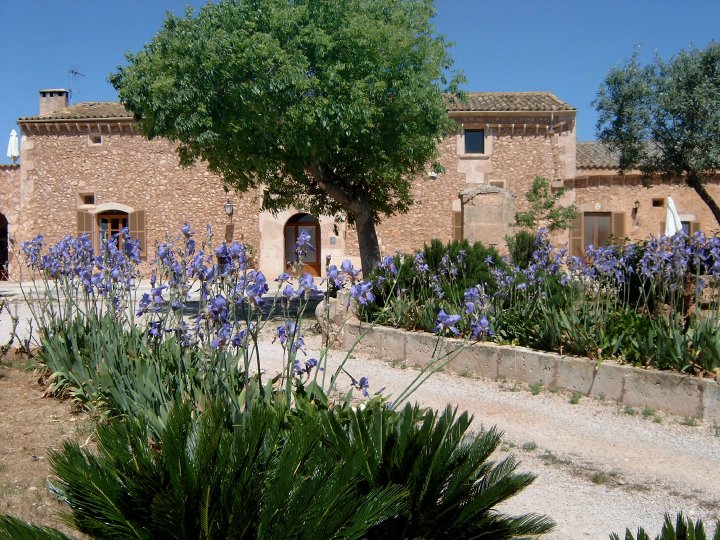 Finca Son Lladó