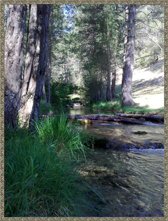 Montes de Cazorla