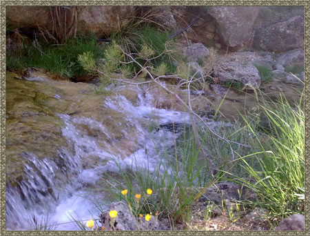 Recorridos en Cazorla