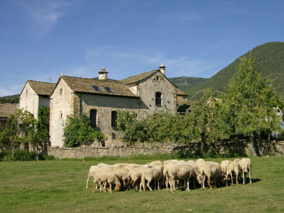 Casa Olivan