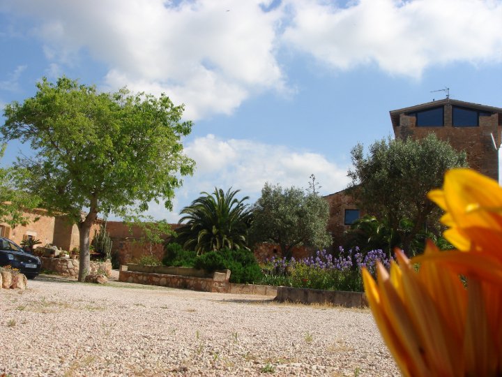 Casa Son Lladó