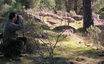 actividades de caza en Andalucía