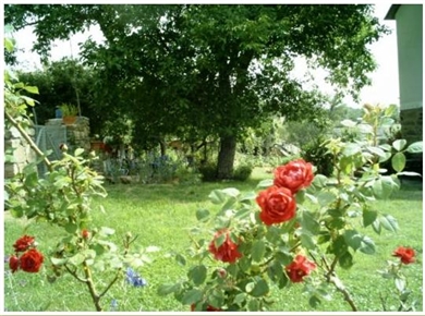 Casas rurales Sanabria- Foto 4