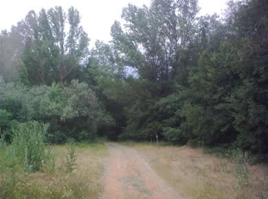 Casa rural Emi- Foto 8