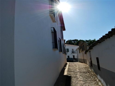Alojamiento rural El Paladin- Foto 6