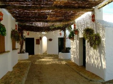 Alojamiento Rural Cortijo El Caserio- Foto 5