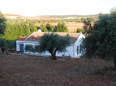 Casa rural Finca el Laderon- Foto 3