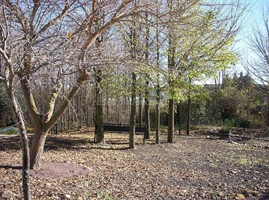 Casa rural Finca el Laderon- Foto 9