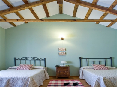 Casa rural Adarga Don Quijote- Foto 2