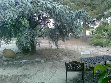 Alojamiento El Mirador de Bogas- Foto 7