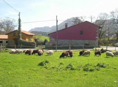 Casa rural El Correntiu- Foto 8