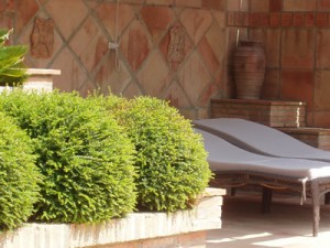 terraza Finca El Abuelo